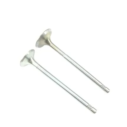 Illustration of exhaust valve for audi 1.4l 1.6l 16v engines 036109611k
