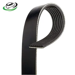 Illustration of v-ribbed belt volkswagen caddy mk2 1.9d 1995-2004 028903137b