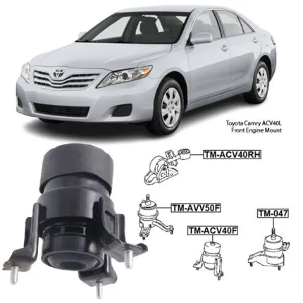 Illustration of toyota camry acv40l front engine mount tm-acv40f